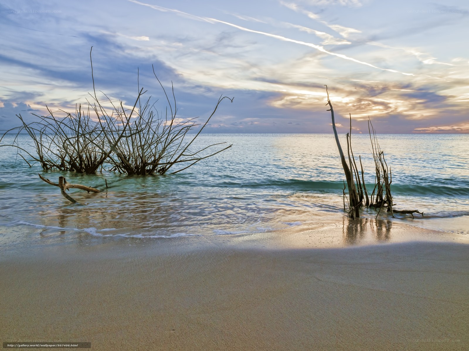 Driftwood on a tranquil beach