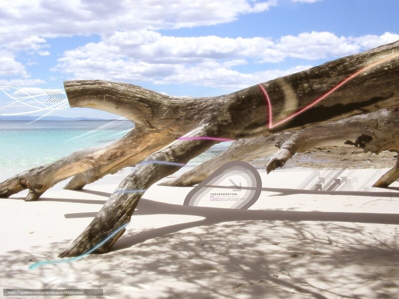 Driftwood on a tropical beach