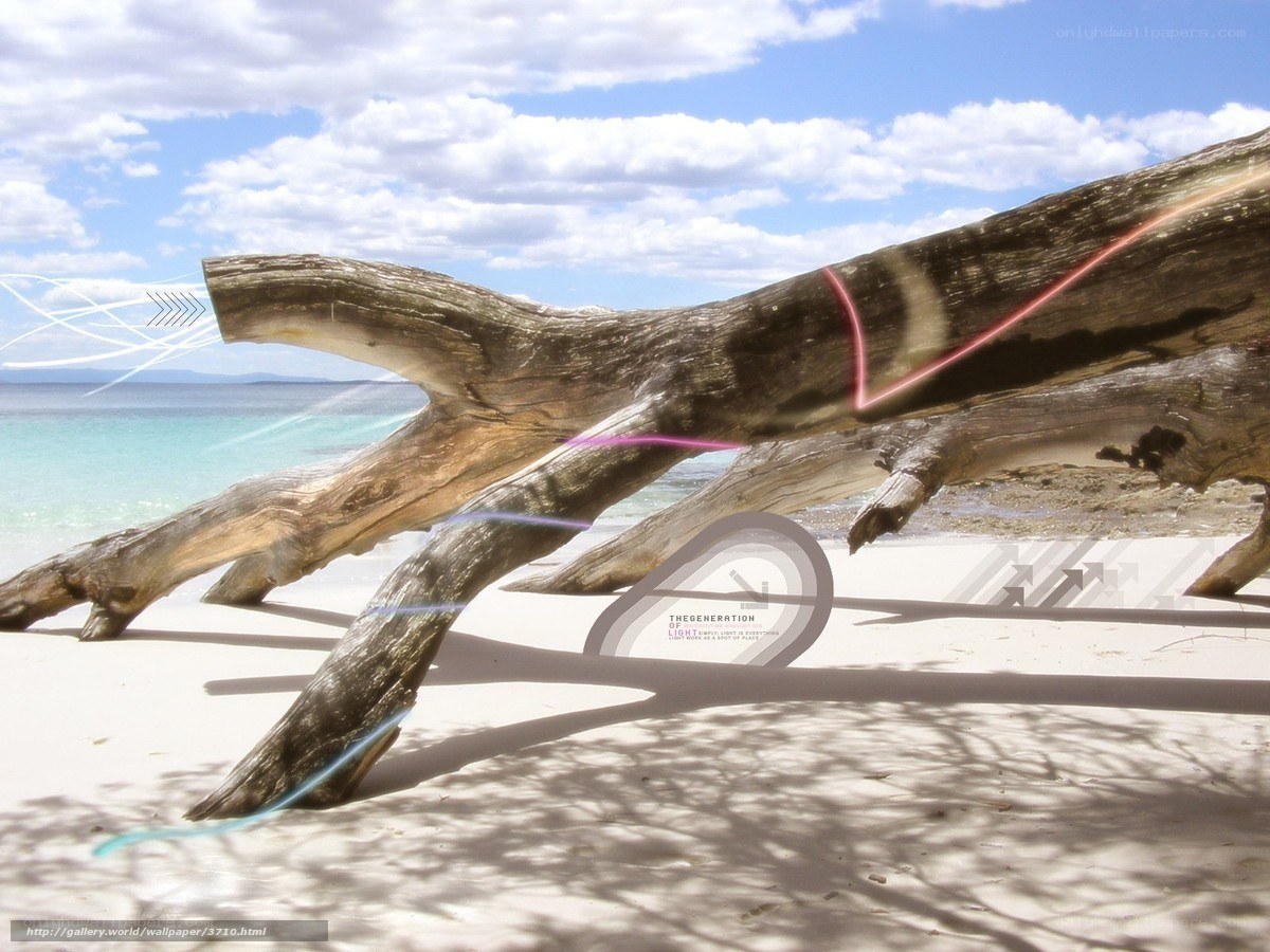 Driftwood on a tropical beach