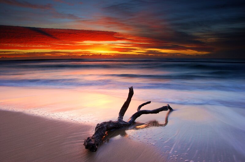 Driftwood on beach at sunset