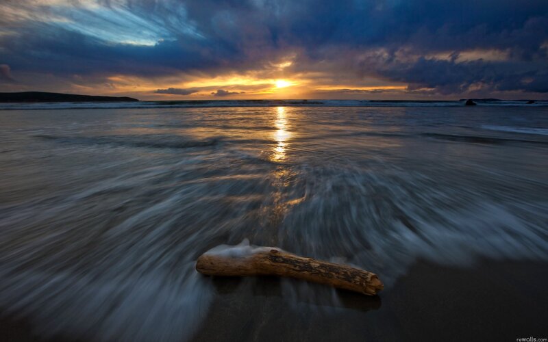 Driftwood on beach at sunset