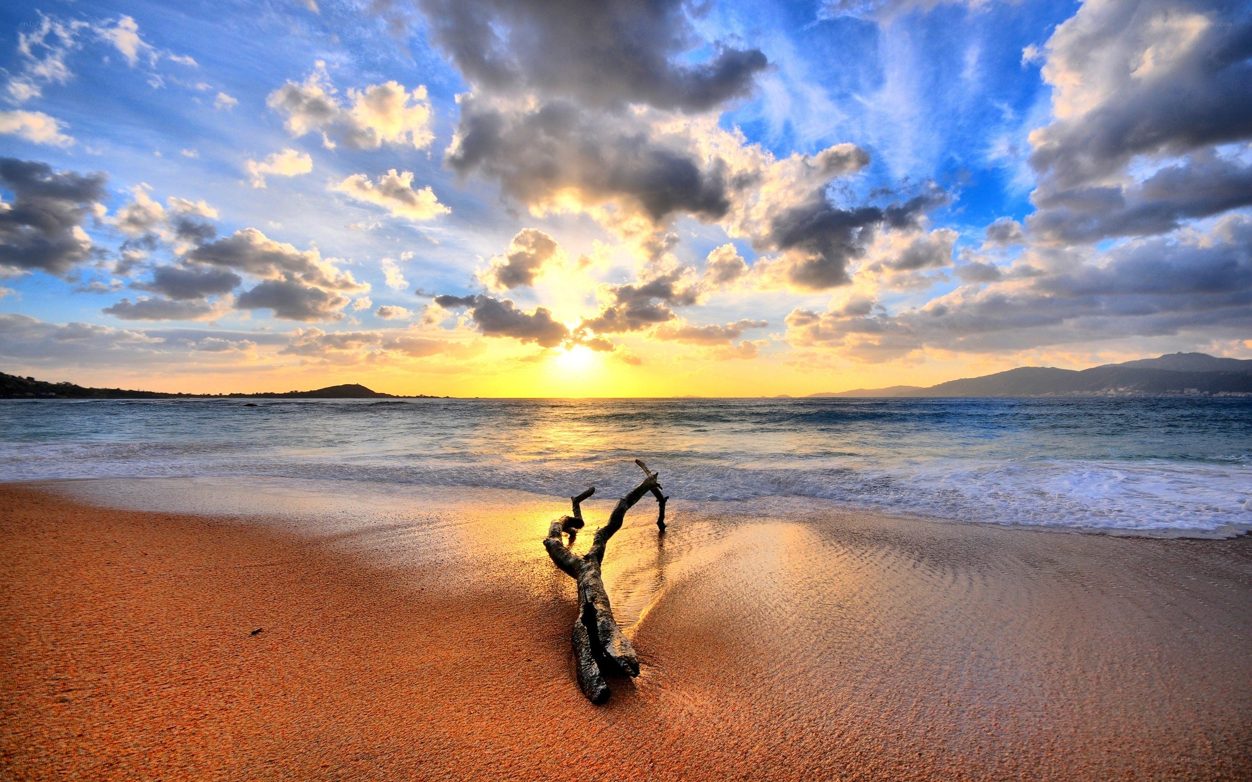 Driftwood on beach at sunset