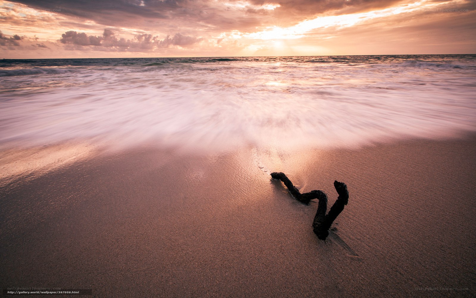Driftwood on beach at sunset