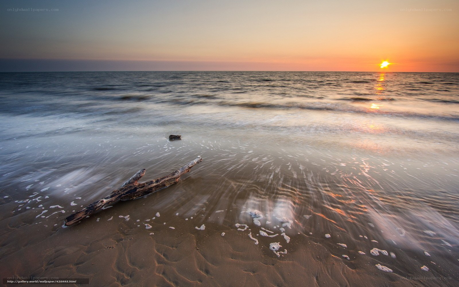 Driftwood on beach at sunset