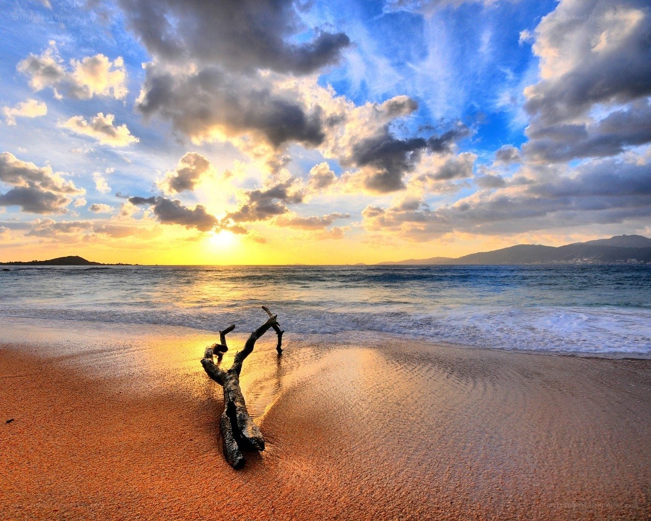 Driftwood on beach at sunset