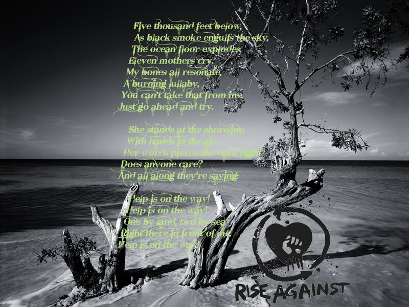 Driftwood on Beach — Black, Dramatic, Night