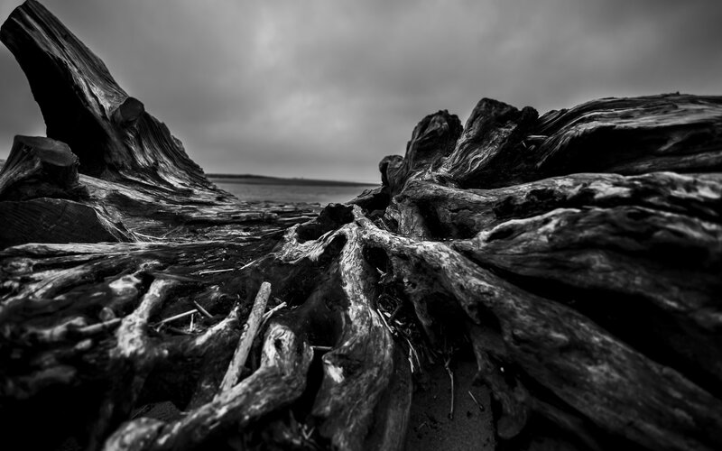 Driftwood on Beach — Black, Dramatic, Photograph, Sky