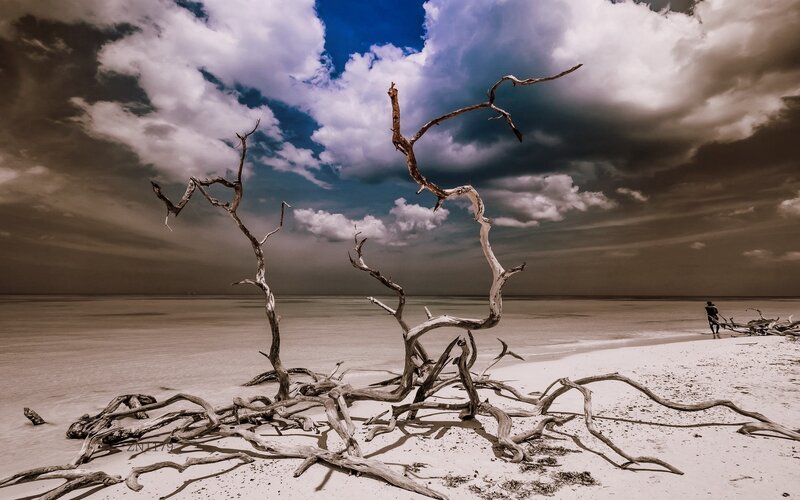 Driftwood on Beach — Blue, Dramatic, Afternoon, Photograph, Clouds