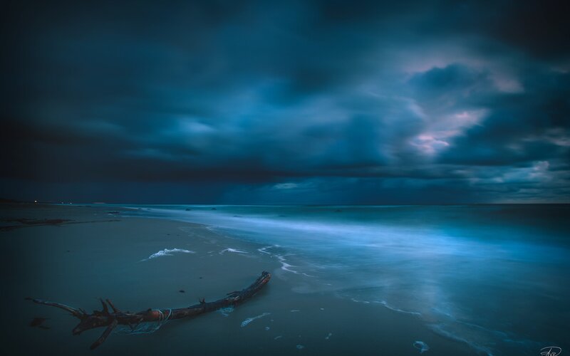 Driftwood on Beach — Blue, Dramatic, Night