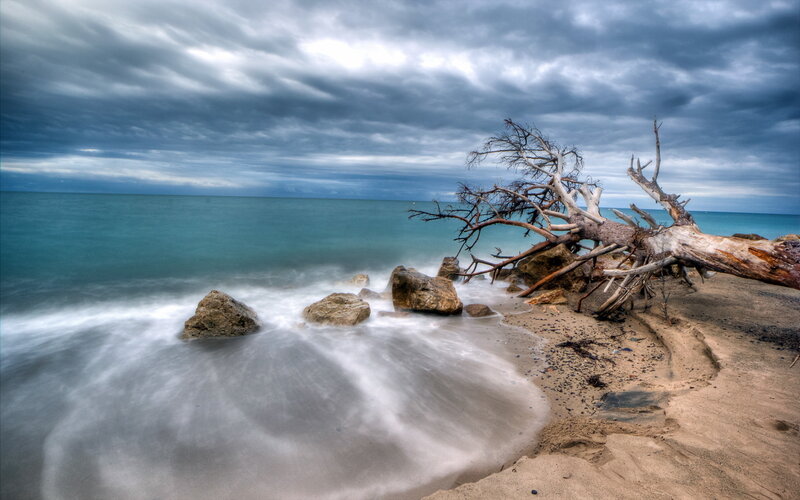 Driftwood on Beach — Blue, Dramatic, Photograph, Ocean, Rocks