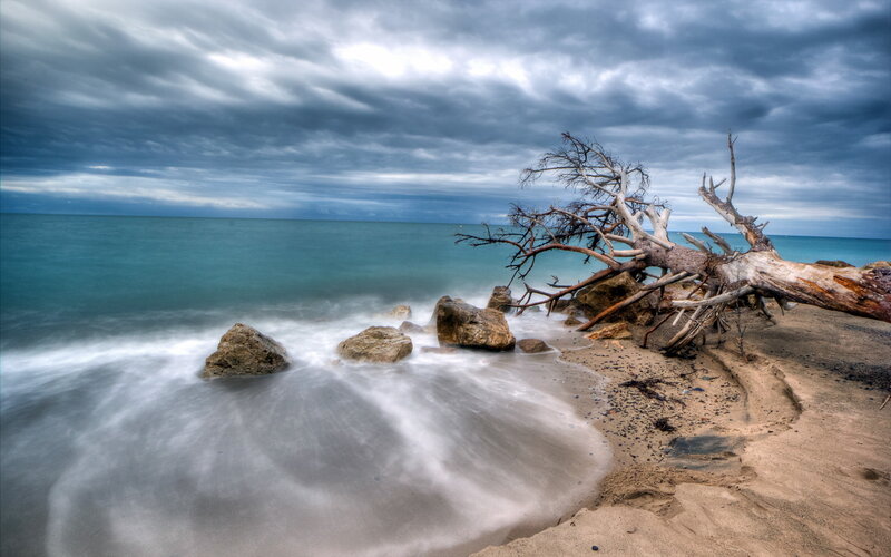 Driftwood on Beach — Blue, Dramatic, Photograph, Ocean