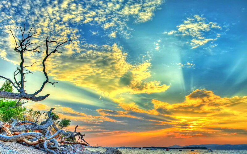 Driftwood on Beach — Blue, Dramatic, Sunset, Photograph, Clouds, Sunlight
