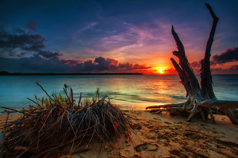 Driftwood on Beach — Blue, Dramatic, Sunset, Photograph, Ocean, Clouds