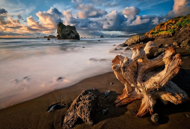 Driftwood on Beach — Blue, Dramatic, Sunset, Photograph, Ocean, Rocks