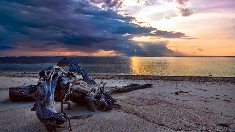 Driftwood on Beach — Blue, Dramatic, Sunset, Photograph, Ocean, Sky, Clouds