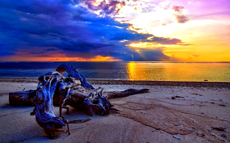 Driftwood on Beach — Blue, Dramatic, Sunset, Photograph, Ocean, Sky