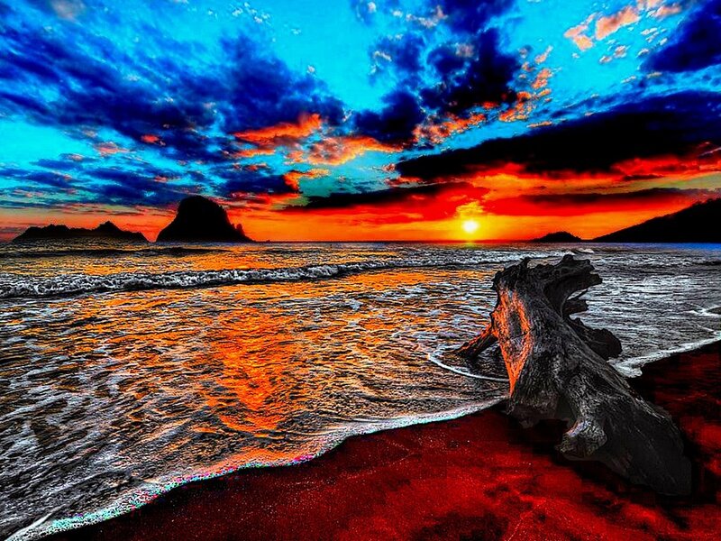Driftwood on Beach — Blue, Dramatic, Sunset, Photograph, Ocean
