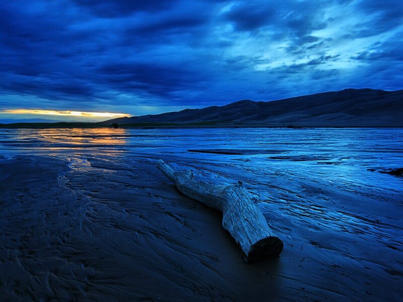 Driftwood on Beach — Blue, Dramatic, Sunset, Photograph, Sand