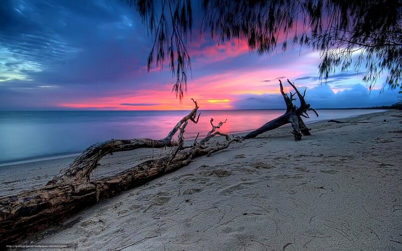 Driftwood on Beach — Blue, Dramatic, Sunset, Photograph, Sky