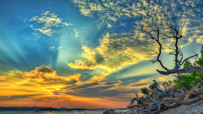 Driftwood on Beach — Blue, Dramatic, Sunset, Photograph, Sun, Clouds, Sea