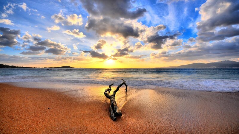 Driftwood on Beach — Blue, Dramatic, Sunset, Photograph, Sun, Ocean