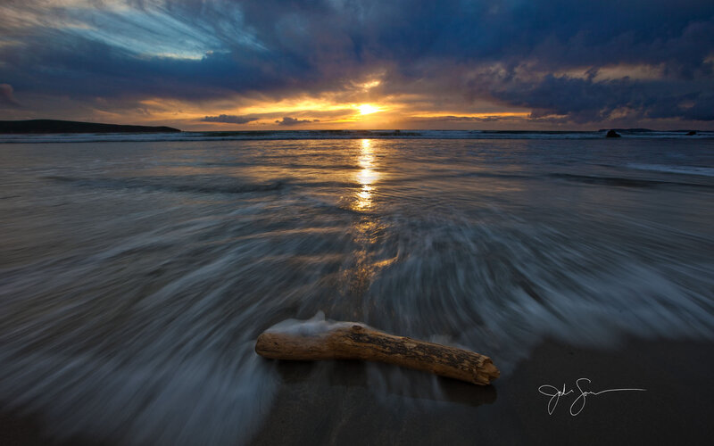 Driftwood on Beach — Blue, Dramatic, Sunset, Photograph, Sun