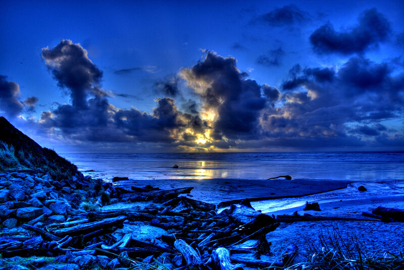 Driftwood on Beach — Blue, Dramatic, Sunset, Photograph