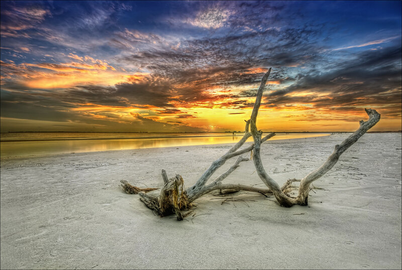 Driftwood on Beach — Blue, Dramatic, Sunset