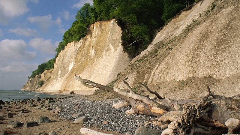 Driftwood on Beach — Blue, Serene, Afternoon, Photograph, Cliffs