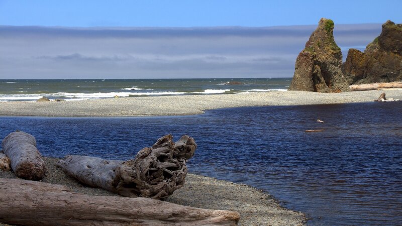 Driftwood on Beach — Blue, Serene, Afternoon, Photograph, Ocean, Rocks