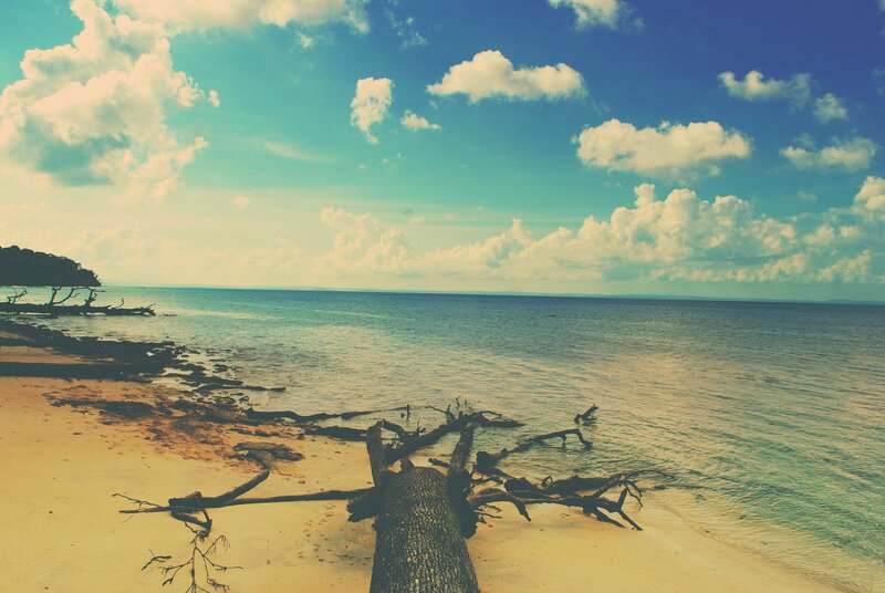 Driftwood on Beach — Blue, Serene, Afternoon, Photograph, Ocean, Sky, Clouds