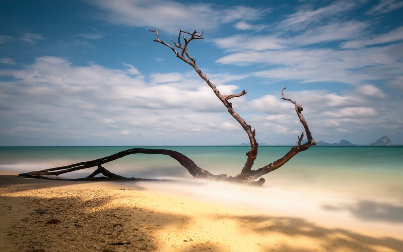 Driftwood on Beach — Blue, Serene, Afternoon, Photograph, Ocean, Sky, Clouds, Yellow