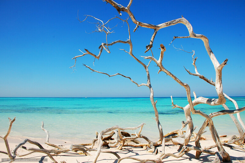 Driftwood on Beach — Blue, Serene, Afternoon, Photograph, Ocean, Sky, Sand