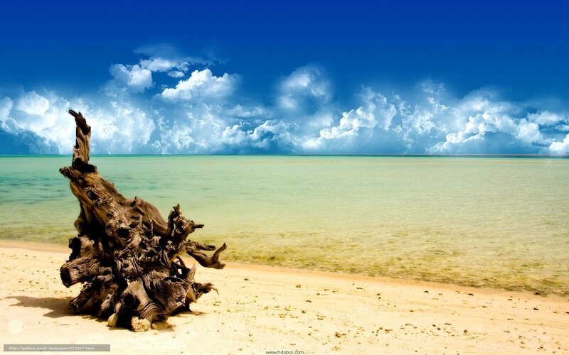 Driftwood on Beach — Blue, Serene, Afternoon, Photograph, Sand, Ocean
