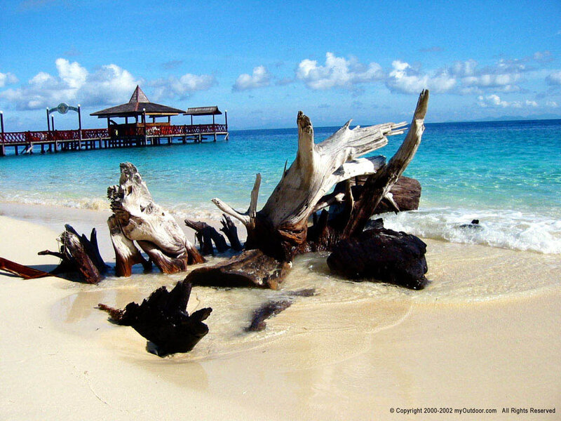 Driftwood on Beach — Blue, Serene, Afternoon
