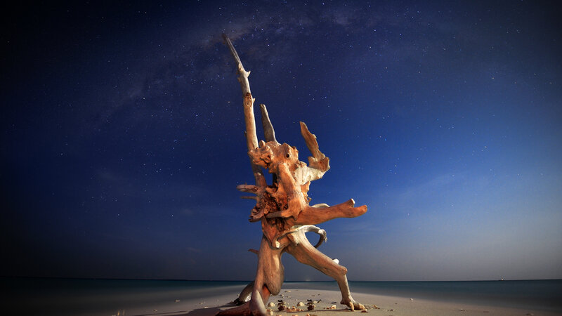 Driftwood on Beach — Blue, Serene, Night, Photograph, Stars