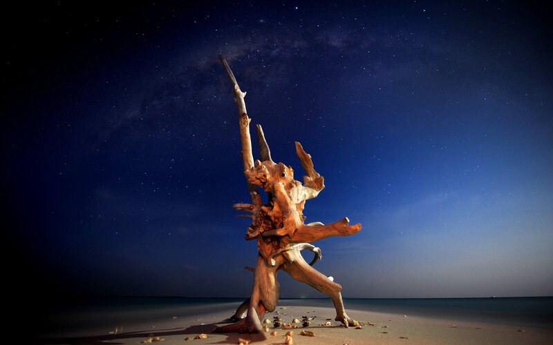 Driftwood on Beach — Blue, Serene, Night, Photograph
