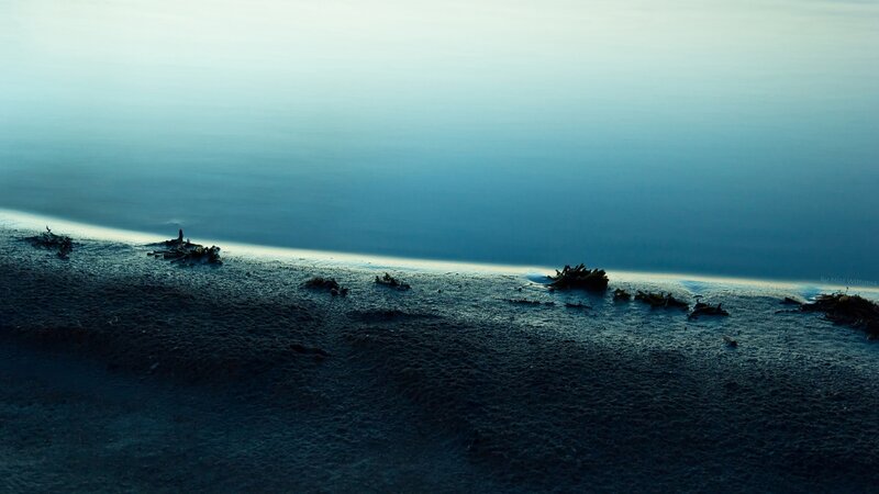 Driftwood on Beach — Blue, Serene, Night, Photograph, Water, Black