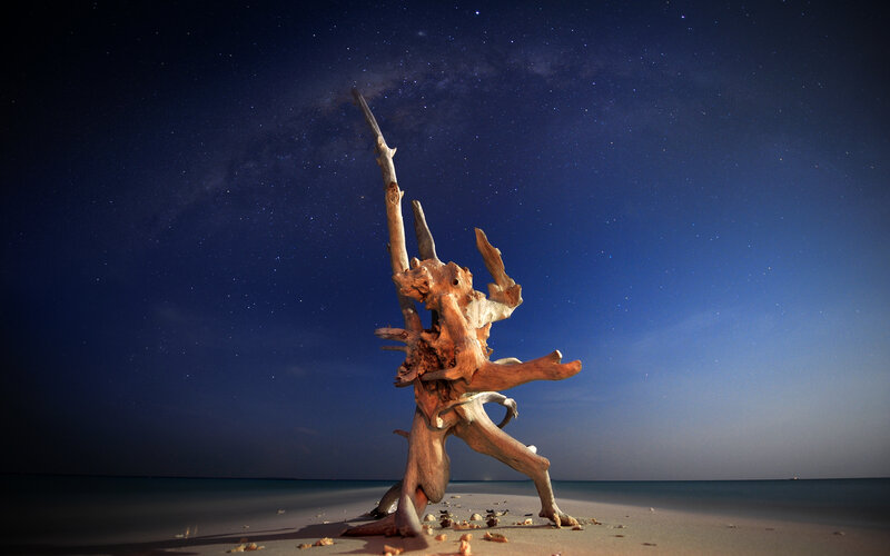 Driftwood on Beach — Blue, Serene, Night