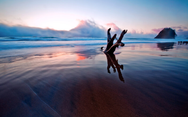 Driftwood on Beach — Blue, Serene, Sunrise