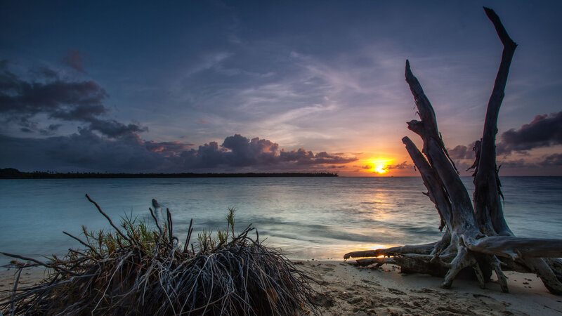Driftwood on Beach — Blue, Serene, Sunset, Photograph, Ocean, Clouds