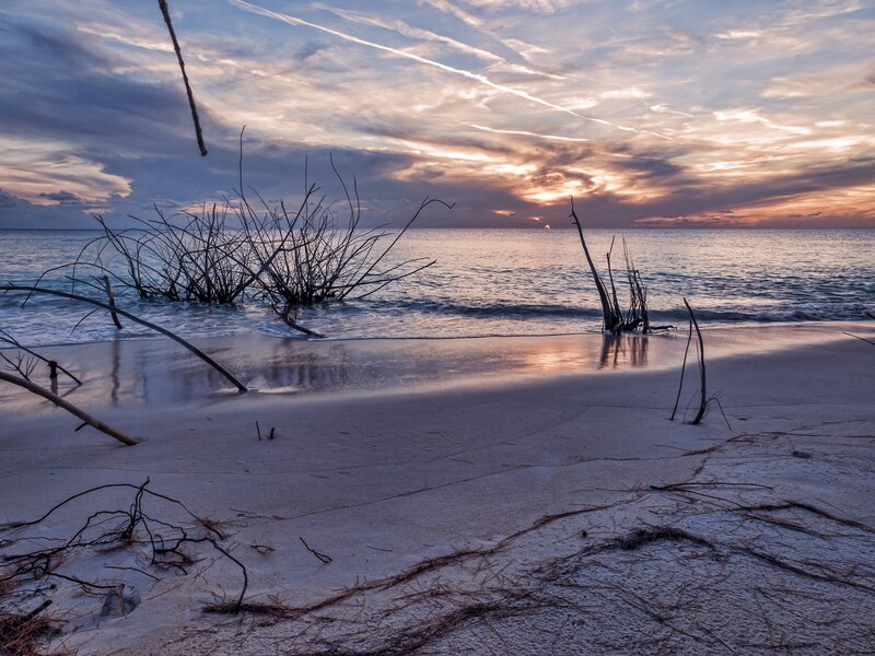 Driftwood on Beach — Blue, Serene, Sunset, Photograph, Ocean, Sky, Sand