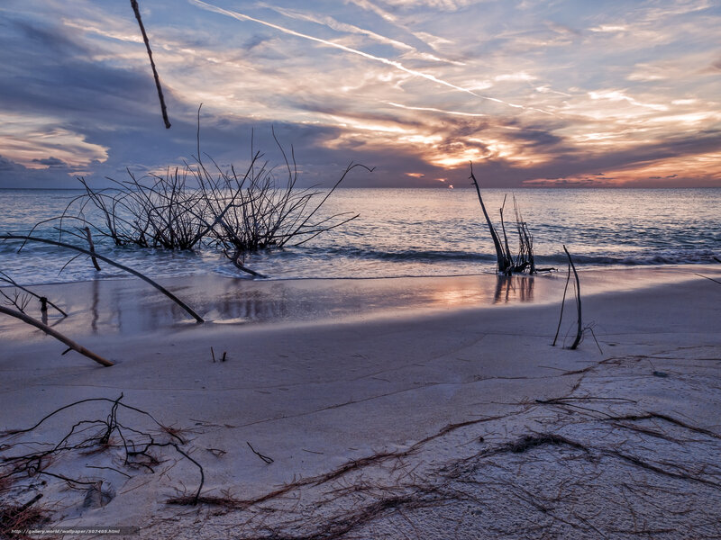Driftwood on Beach — Blue, Serene, Sunset, Photograph, Ocean, Sky, Sun