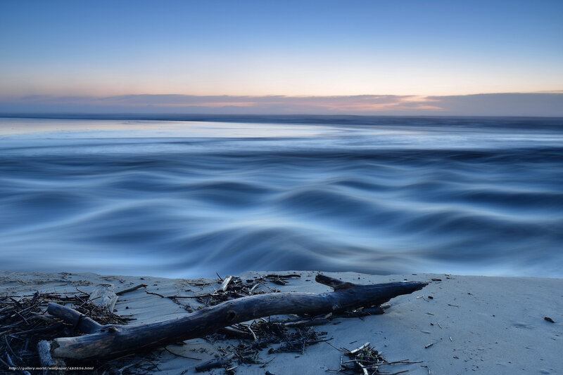 Driftwood on Beach — Blue, Serene, Sunset, Photograph, Sand, Ocean