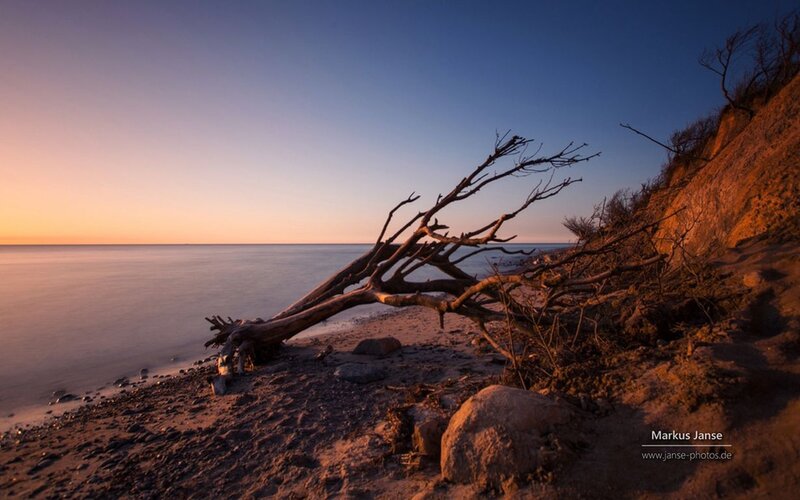 Driftwood on Beach — Blue, Serene, Sunset, Photograph, Sea