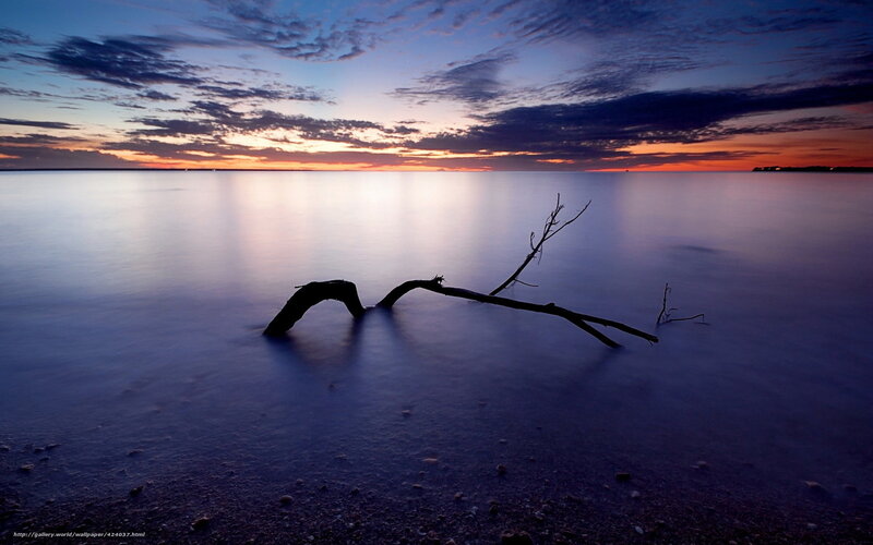 Driftwood on Beach — Blue, Serene, Sunset, Photograph, Sky
