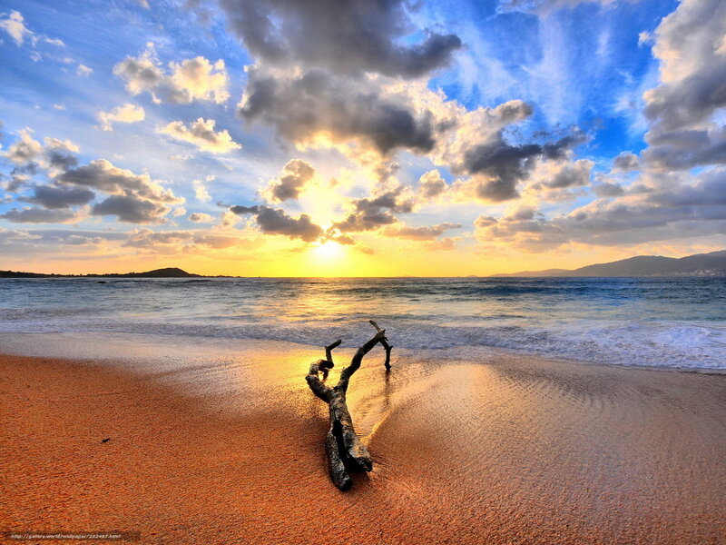 Driftwood on Beach — Blue, Serene, Sunset, Photograph, Sun, Clouds