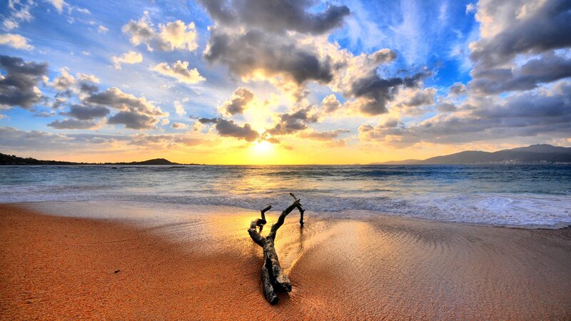 Driftwood on Beach — Blue, Serene, Sunset, Photograph, Sun, Ocean, Clouds, Mountains