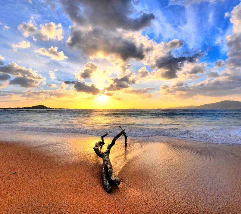 Driftwood on Beach — Blue, Serene, Sunset, Photograph, Sun