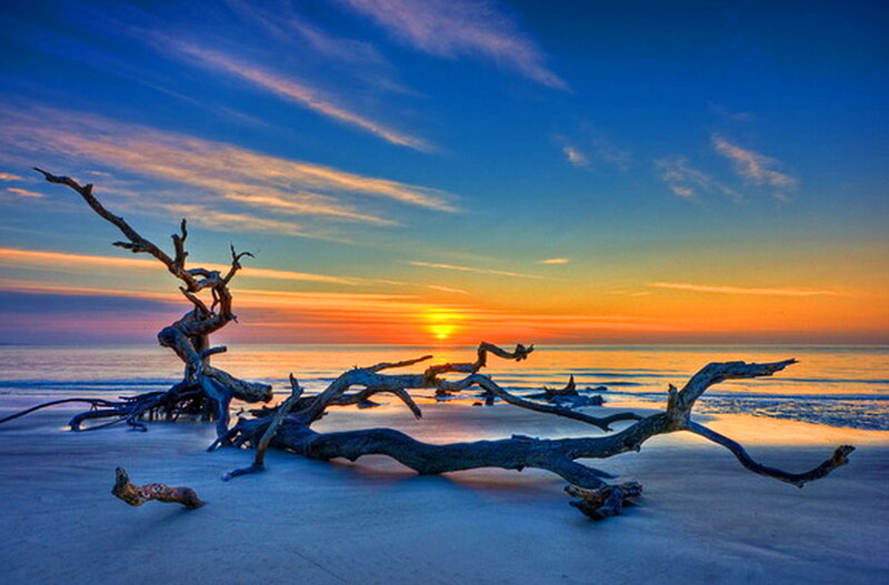 Driftwood on Beach — Blue, Serene, Sunset